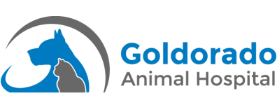 Goldorado Animal Hospital-HeaderLogo
